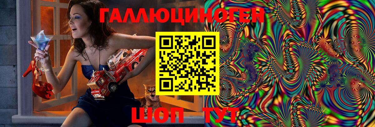 Псилоцибиновые грибы Cubensis  Вход с VPN  Абинск  купить наркоту  Псилоцибиновые грибы Psilocybine cubensis 
